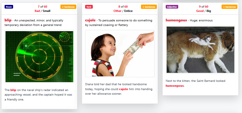 Word cards with definitions and pictures